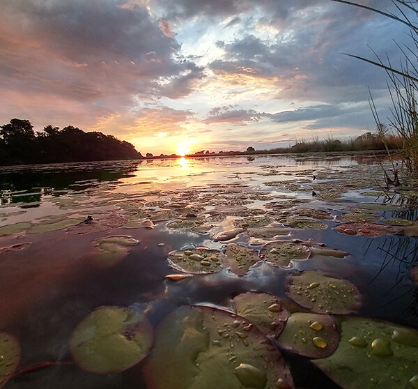 Okavango Delta, sunset & raindrops